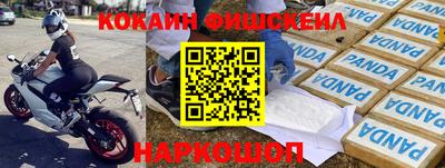 spice Брянск