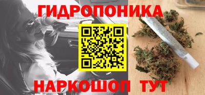 прущие грибы Боровичи