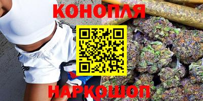 прущие грибы Боровичи
