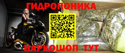 spice Брянск