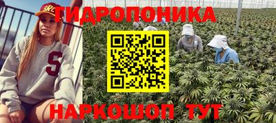 прущие грибы Боровичи